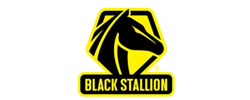 BLACK STALLION